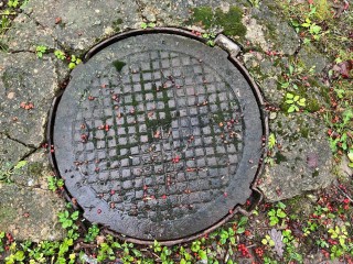 Ватная палочка: как «маленькая» привычка может превратиться в большую катастрофу