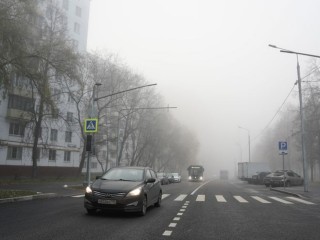 Ночной туман в Подмосковье: желтый уровень опасности потребует особого внимания от водителей и пешеходов