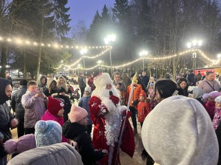 Огни на елке в парке «Мечта» в Селятине зажгут 1 декабря