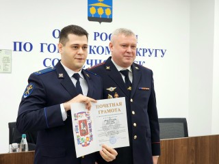 Полицейские Солнечногорска за 10 месяцев успешно раскрыли 995 преступлений