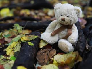 В Балашихе на Бульваре цветов заметили отдыхающего медведя