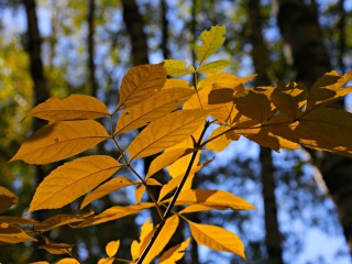 Почему 7 ноября называли «Дедовскими плачами» и что запрещено делать в этот мистический день