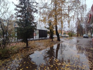 Последний теплый день в Шатуре придется на вторник, 18 ноября