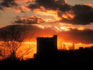 «Сауна» вместо зимы: главной опасностью погоды для Москвы стали не морозы, а жара — ученые объяснили, почему