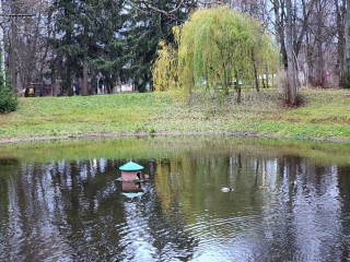 Куда сходить 23 ноября: гид по ярким и увлекательным событиям для всей семьи