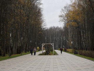 Гостей электростальского парка научат распознавать приметы осени и расписывать пряники