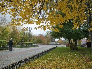 Весенняя волна обрубится в один день: синоптик Леус назвал точную дату резкого похолодания