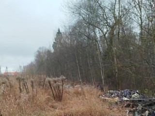 Благоустройство с последствиями: предприниматель в Рузском округе поплатился рублем за нарушение экологических норм во время работ у СНТ «Востоковед»