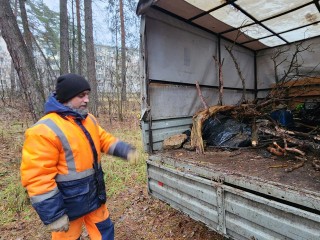 Лес возле протвинской автостанции очищают от сухих стволов и ветвей