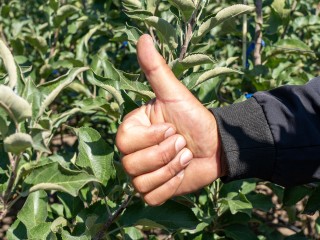 Химпрепараты из Щелкова вместо импортных аналогов выбирают ставропольские садоводы