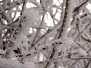 От гололедицы до ледяного дождя: синоптик Тишковец дал прогноз для Подмосковья