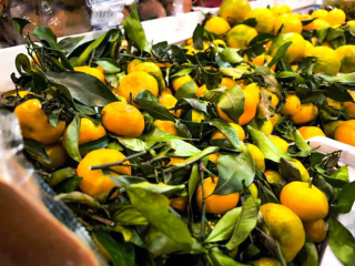 Скрутит живот и повысит сахар: диетолог назвала самый опасный сорт мандаринов