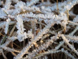 Осень отступает: москвичей ждет резкий переход к настоящей зиме, мокрому снегу и заморозкам