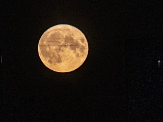 Звезды знают все: какие сюрпризы ждут Шаховскую с 3 по 9 ноября