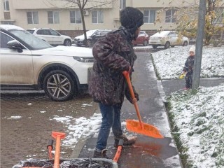 В Домодедове после первого снегопада на уборку вышли 395 дворников