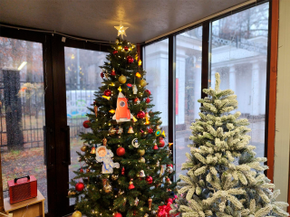 Трон, елка и почтовый ящик: в Королеве открывают резиденцию Деда Мороза