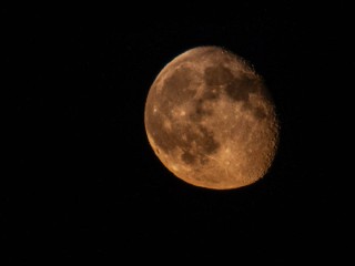 Новолуние 19 ноября 2025: что можно и нельзя сегодня по лунному календарю