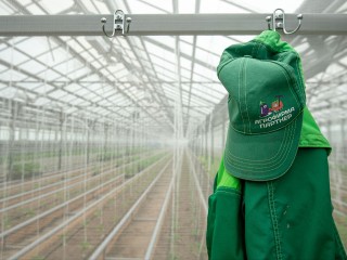 Как в озерской агрофирме «охотятся» за студентами