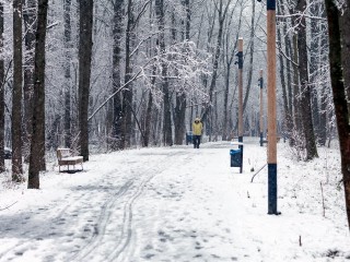 Чем удивит погода ноября-декабря 2025 года, и какие сюрпризы в прогнозе на месяц