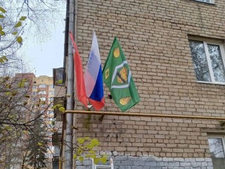 Фасады жилых домов в Пушкино украсили флагами ко Дню народного единства