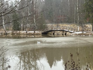 Пруд в «Абрамцево», вдохновлявший художника Васнецова, очистят, если поддержат жители