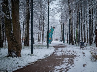 Когда в лесопарке сделают лыжную трассу: возможности для отдыха появятся во Фрязине зимой