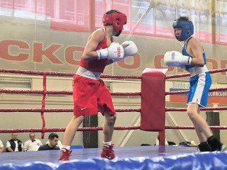 Боксеры из Ивантеевки стали победителями и призерами межрегиональных соревнований