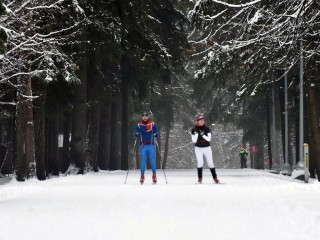 Лыжную трассу подготовят в лесопарке «Северный» в Пушкино зимой