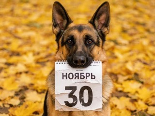 Какой сегодня день? Праздники и памятные даты календаря 30 ноября 2025 года