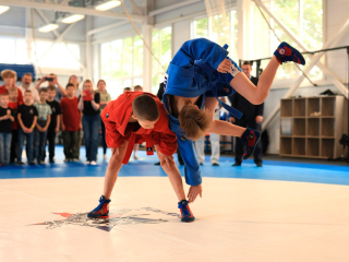 День самбо: десятки побед и сильные спортивные школы