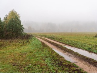 Ждать ли скачков? Атмосферное давление в Москве и Подмосковье с 3 по 9 ноября 2025 года