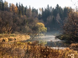 Заповедный уголок Подмосковья: какие редкие существа скрываются в долине у Кратово