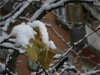 Метеозависимым придется непросто: жителей ждут температурные качели и осадки