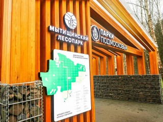 Мытищинский лесопарк обновили: новые маршруты, свет и места для отдыха