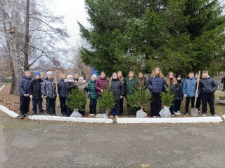 От саженца до аллеи: почему двор школы № 8 в Егорьевске становится настоящим лесом