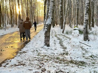 Электростальских мам поздравят большим концертом в парке «Авангард»