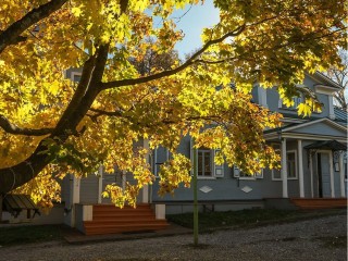 Самый странный ноябрь: дождь и снег забудут дорогу в Подмосковье