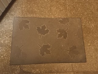 Электростальцев предупредили о штрафах за грязный коврик у входной двери