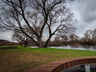 Оригинальный арт-класс устроят на «Бронницком лугу» 2 ноября