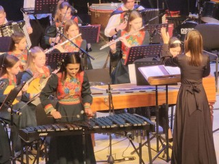 Народные оркестры  дали концерт в честь Дня народного единства