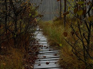 Забытый народный ритуал на 16 ноября: как в Анну Холодную избавиться от порчи и сглаза раз и навсегда