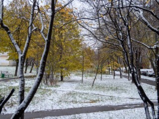 Мокрый снег и заморозки до -2: в Подмосковье к концу недели придет зима