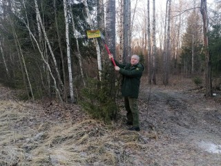 Более 80 незаконных рекламных конструкций демонтировали лесничие Ступина