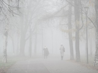 Туман задержится в Пушкино до 10-11 часов 5 ноября