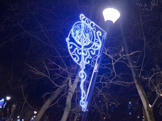 Лотошино погружается в сказку: кленовая аллея на Калинина примерила новогодний наряд