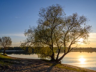 В Подмосковье выявили заборы на берегах рек: как гражданам вернуть свободный проход к водоемам