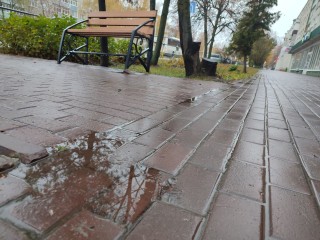 Последнее воскресенье ноября в Подмосковье порадует лишь слякотью и серостью