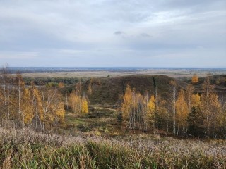 Какая погода ожидает жителей Подмосковья во вторник, 11 ноября