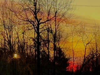 Синоптик Вильфанд спрогнозировал резкое потепление в Подмосковье 18 ноября