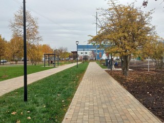 В недавно открытом сквере «На семи ветрах» сделали дренаж и посадили 15 берез